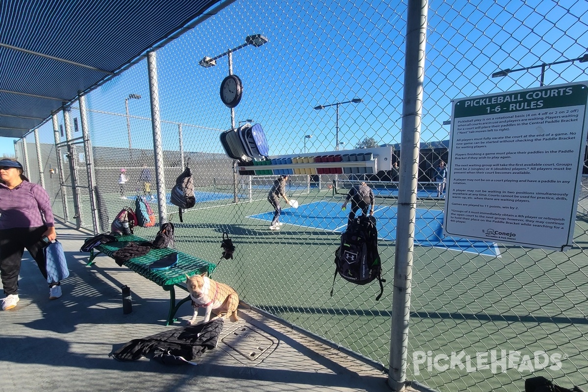 Photo of Pickleball at Rancho Conejo Playfields